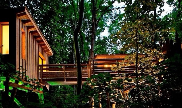 cabane lyon nuit éclairage