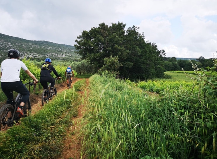 Découverte VTT nature