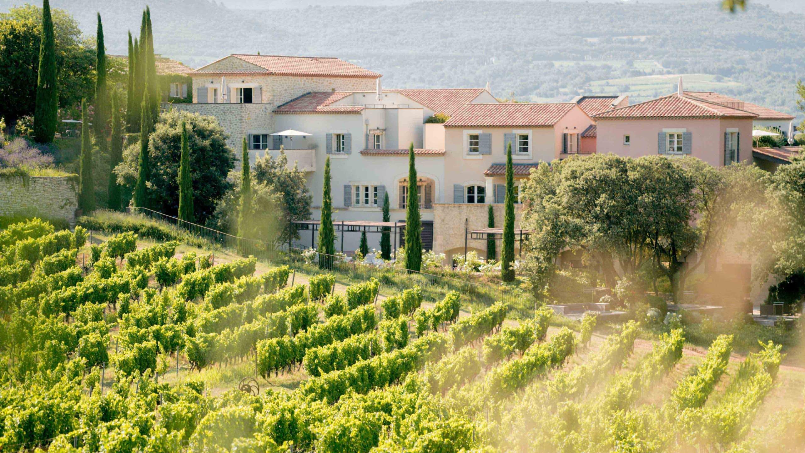 Vignoble provence vin coquillade nature événements extérieur