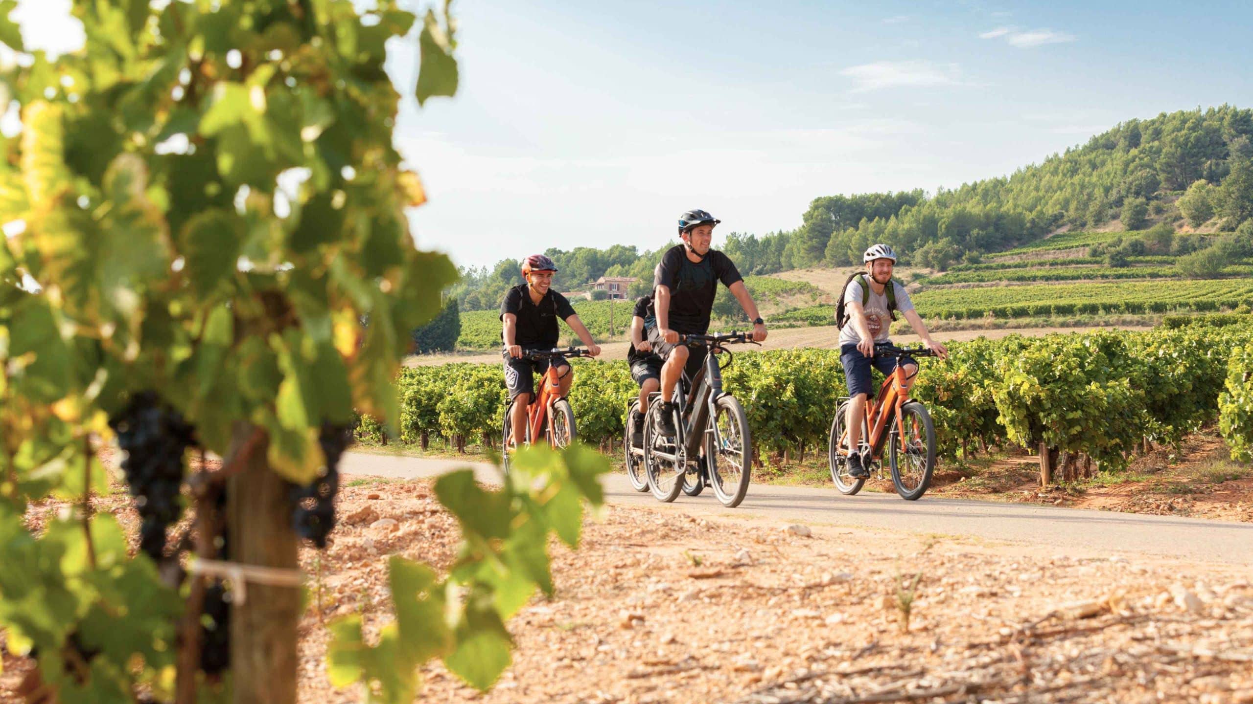 team building velo vtt provence vignes activité groupe événement