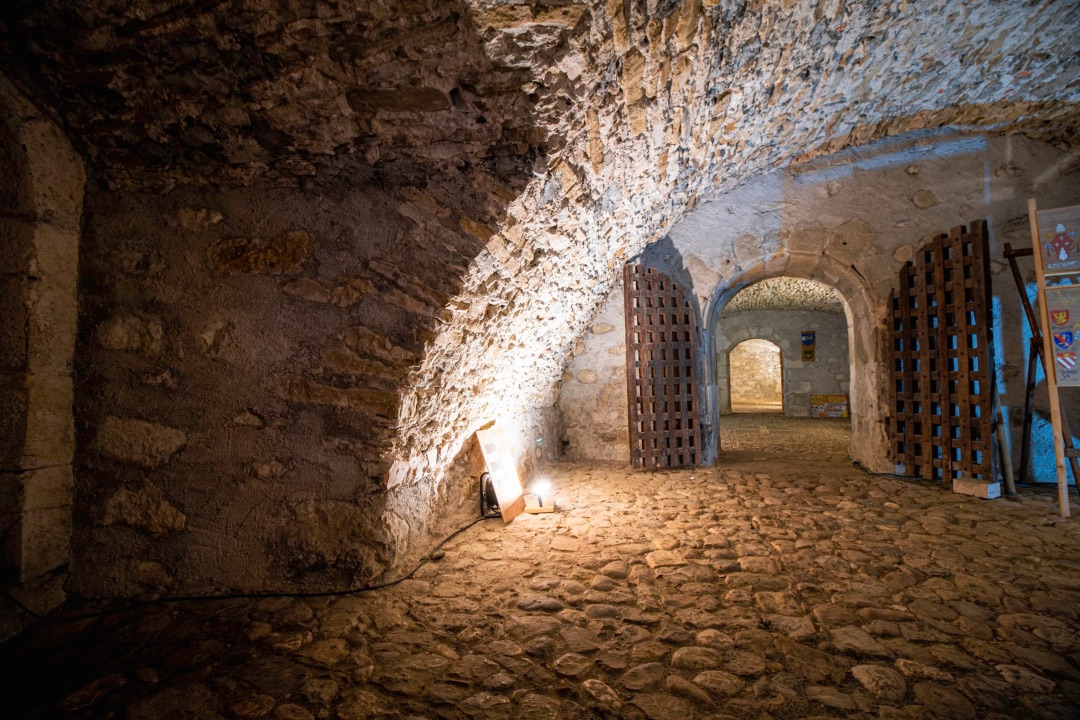 cave voûtée médiévale château thorens annecy événement