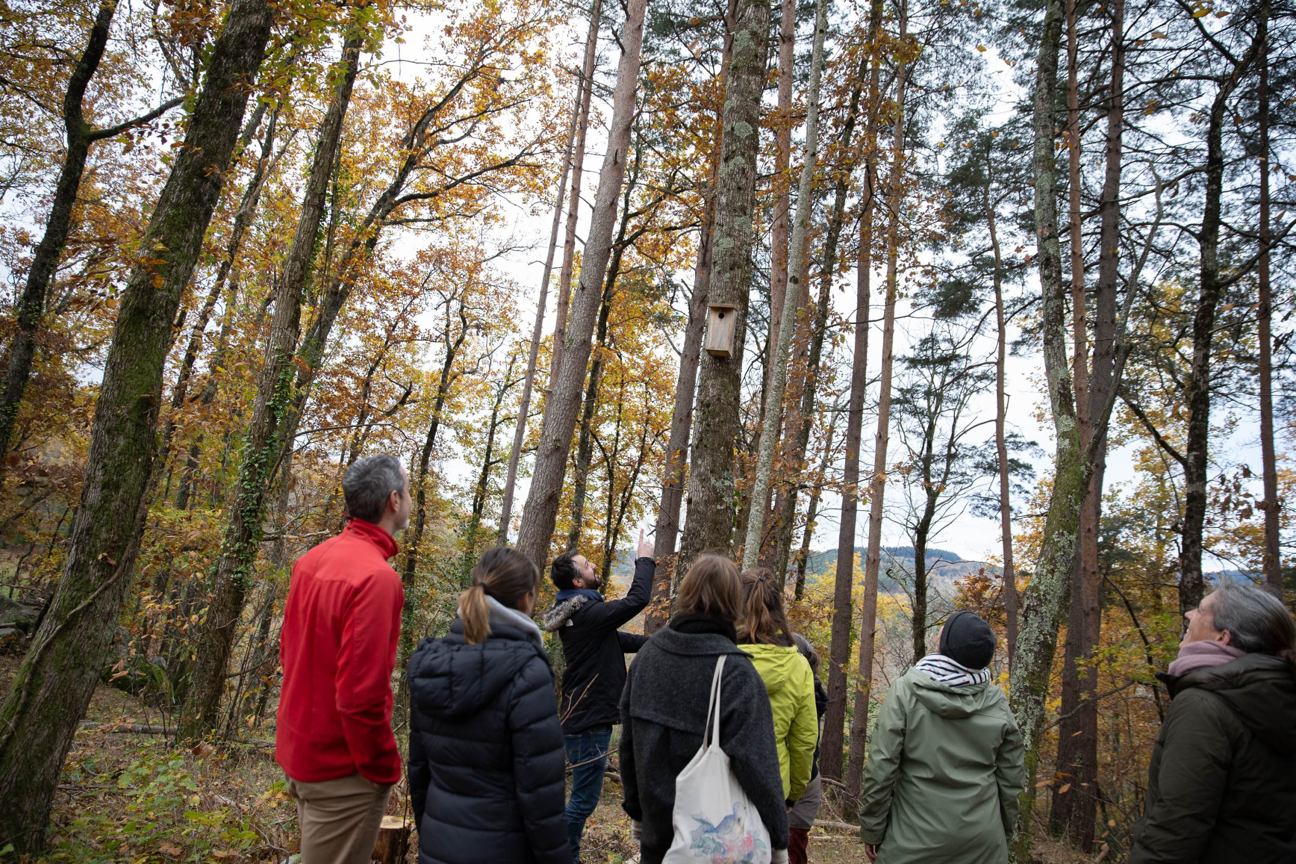 Visite en forêt, groupe, nature, Les Blaches, Ardèche