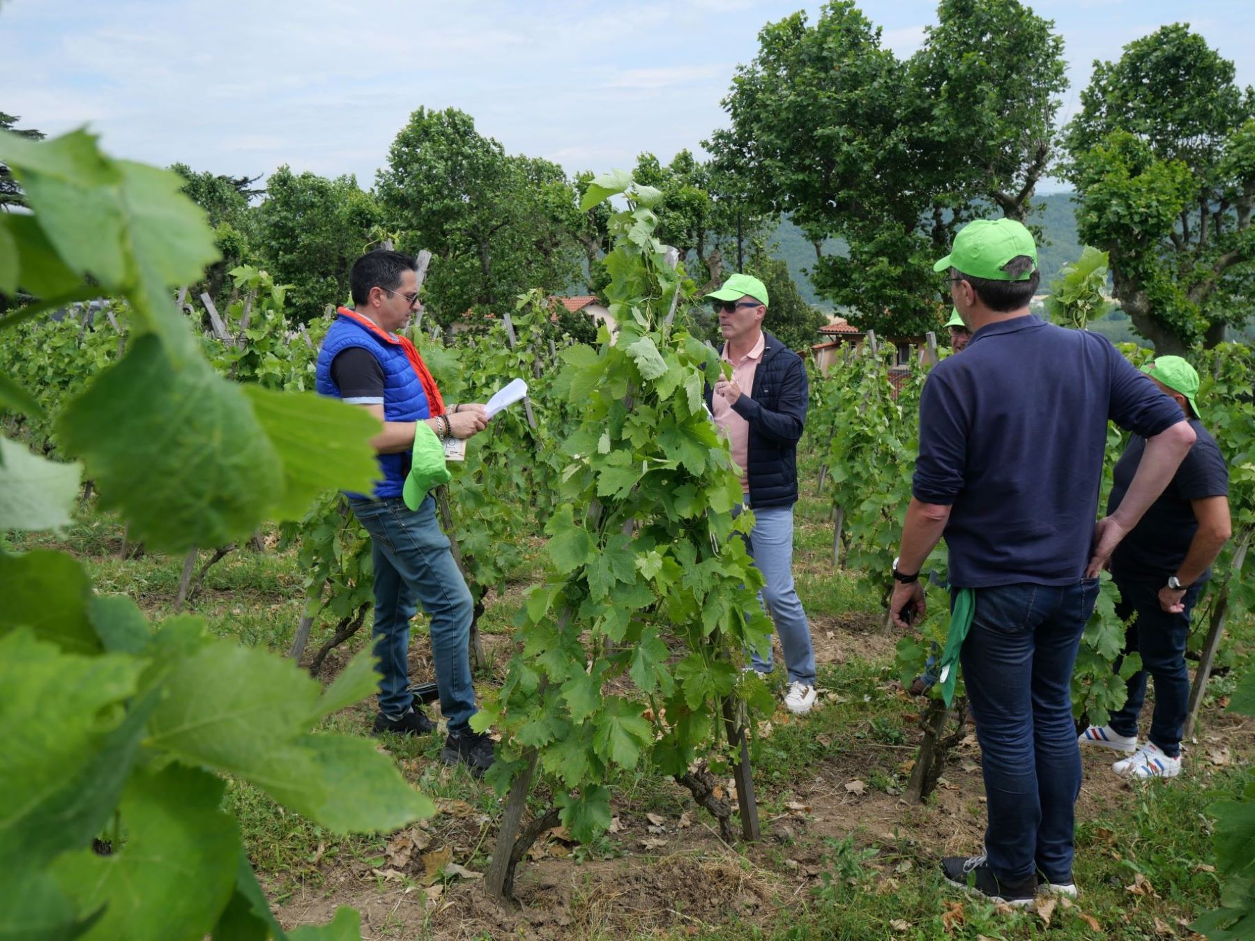 chasse tresor oenologie vigne team building