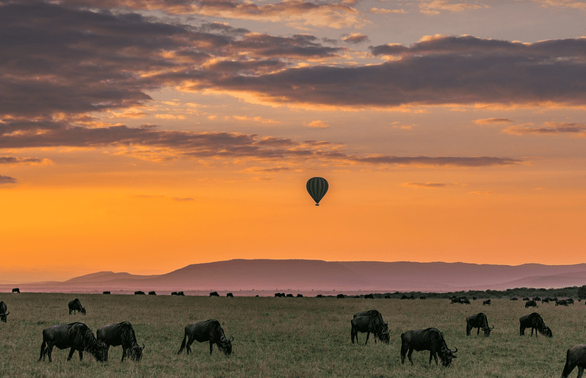 La Maison Events montgolfière Masai Mara lever soleil migration animaux